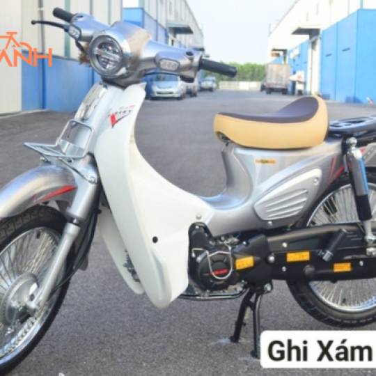 XE CÚP 81 50CC VINSKY 
