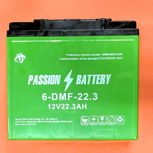 BÌNH ẮC - QUY PASSION BATTERY 