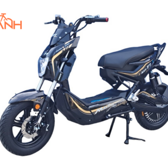 XE MÁY ĐIỆN XMEN NIJIA