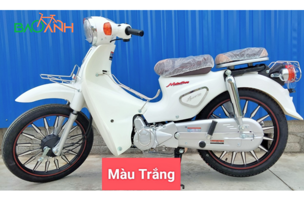 MOTO THÁI CÚP 81 50cc