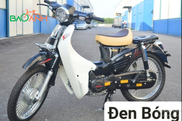 XE CÚP 81 50CC VINSKY