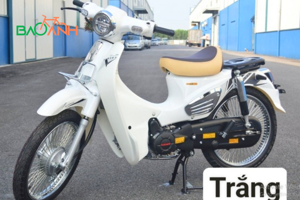 XE CÚP 81 50CC VINSKY