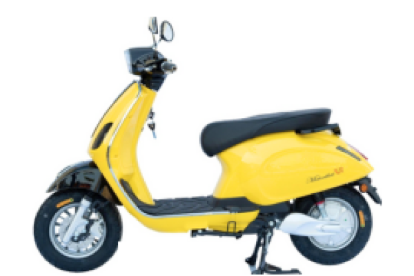 XE MÁY ĐIỆN VECSPA MOTOR THÁI